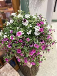 12" COMBO HANGING BASKET  from Redwood Florist in New Brunswick, NJ