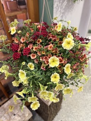 12" COMBO HANGING BASKET from Redwood Florist in New Brunswick, NJ
