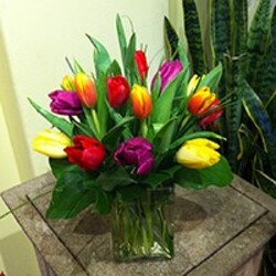 15 TULIPS IN A VASE from Redwood Florist in New Brunswick, NJ