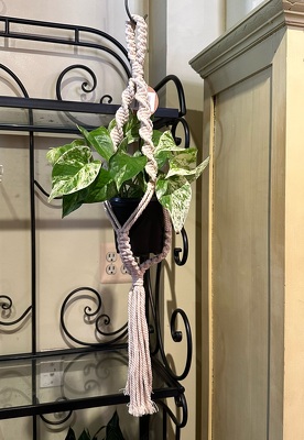 ORIGINAL PLANT HANGER from Redwood Florist in New Brunswick, NJ