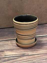 4" TERRACOTTA POT WITH SAUCER from Redwood Florist in New Brunswick, NJ