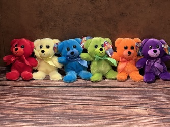 RAINBOW BEARS  from Redwood Florist in New Brunswick, NJ