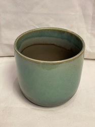 4" CARIBE GREEN POT from Redwood Florist in New Brunswick, NJ