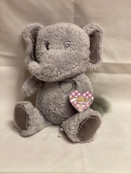 ELEPHANT PLUSH 8" from Redwood Florist in New Brunswick, NJ