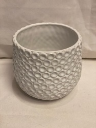 4" WHITE GINNY POT from Redwood Florist in New Brunswick, NJ