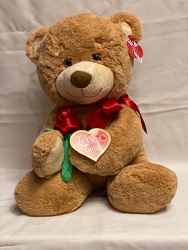 GUS - BROWN 15" from Redwood Florist in New Brunswick, NJ