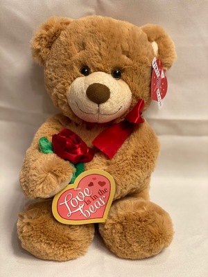 GUS - BROWN 10" from Redwood Florist in New Brunswick, NJ