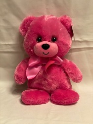 HOT PINK BEAR 10" from Redwood Florist in New Brunswick, NJ