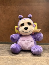 5" PLUPEE BUGGIES BUTTERFLY from Redwood Florist in New Brunswick, NJ