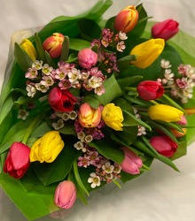TULIPS WRAPPED 