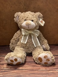 VICKY BEAR - BROWN OR CREAM from Redwood Florist in New Brunswick, NJ