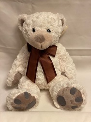 VICKY BEAR 14" from Redwood Florist in New Brunswick, NJ