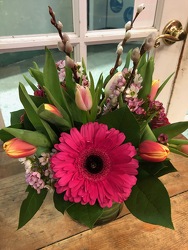 TULIPS & GERBERA DAISIES from Redwood Florist in New Brunswick, NJ